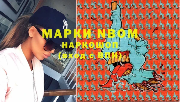 apvp Кукмор